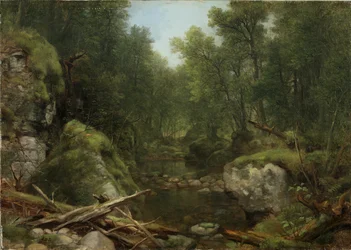 Chapel Pond Brook, Keene Flats, Adirondack-bjergene, New York, 1870